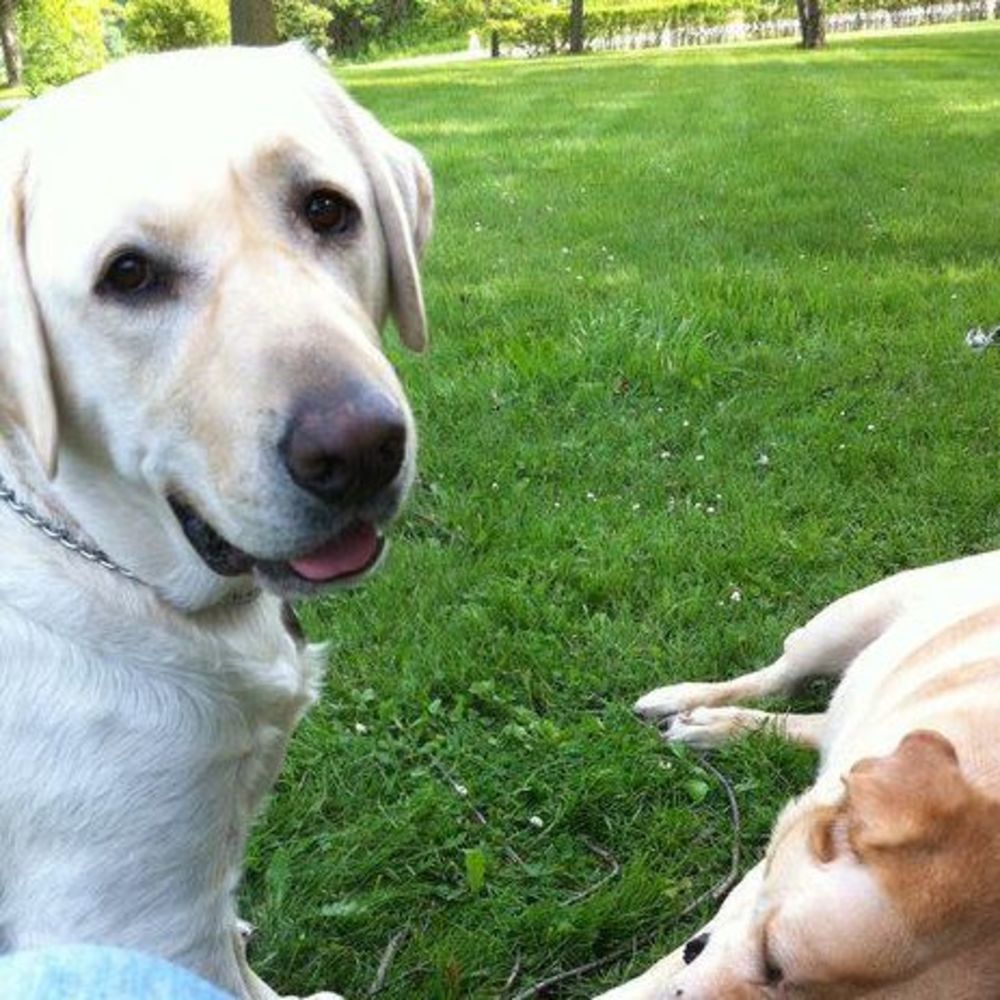 Meet your Posher, Ken